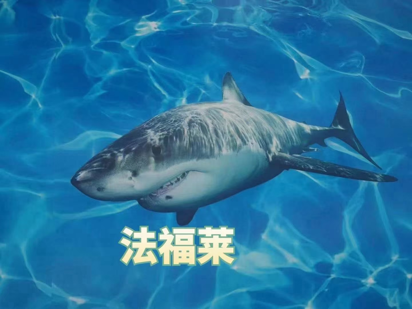 關(guān)于PVC地板的幾項錯誤認(rèn)知，您有過嗎【騰方PVC地板】