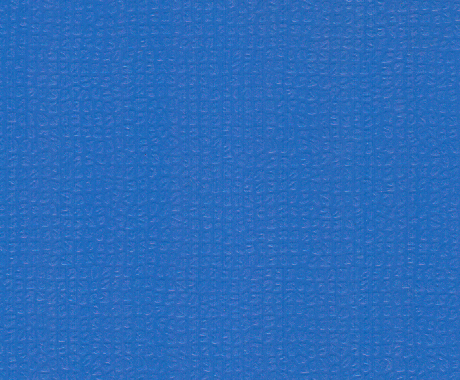 專(zhuān)業(yè)舞蹈地板 5.0mm